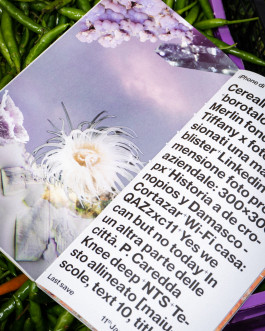 LorenzoBigatti–Studio